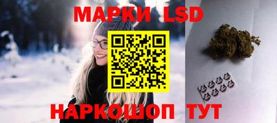 прущие грибы Кандалакша