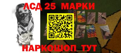 прущие грибы Кандалакша
