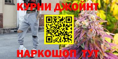 шишки Камышлов