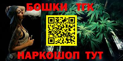 шишки Камышлов