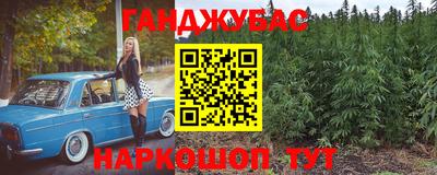 прущие грибы Кандалакша