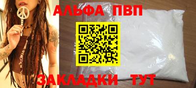 прущие грибы Кандалакша