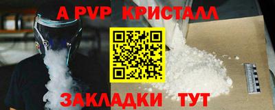 прущие грибы Кандалакша