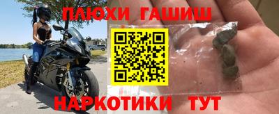 прущие грибы Кандалакша