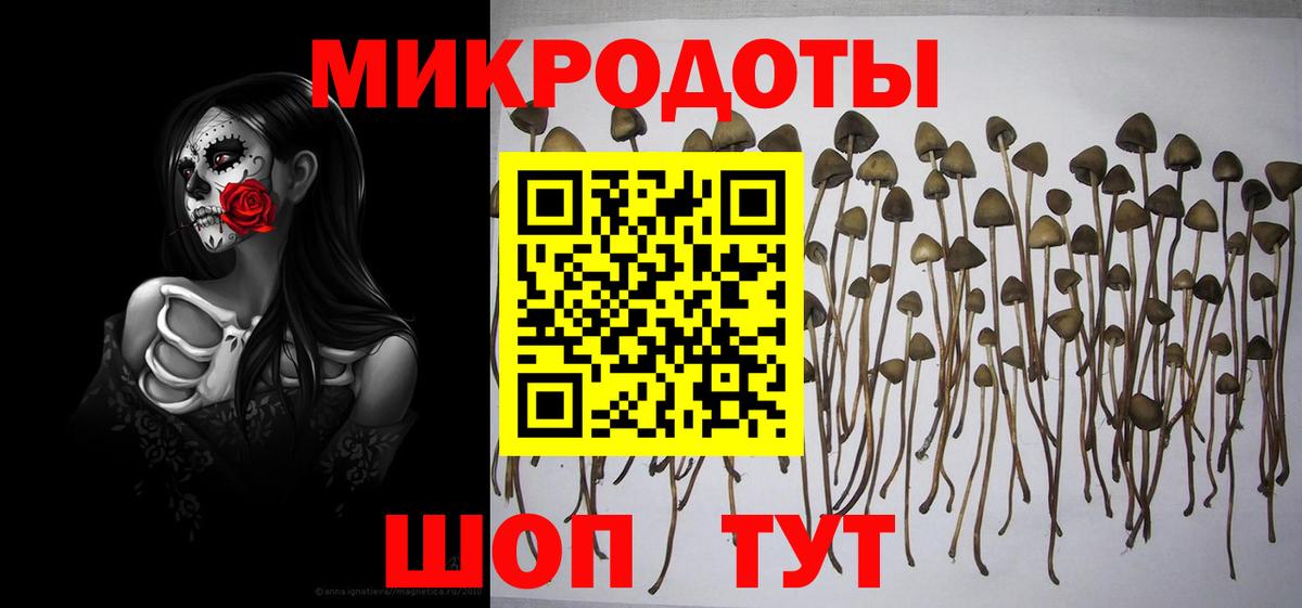 Красноармейск  продажа наркотиков  Вход с VPN  Галлюциногенные грибы Psilocybine cubensis 