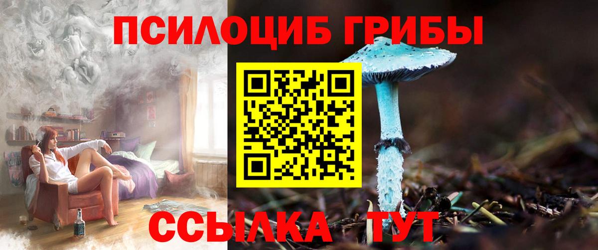 Псилоцибиновые грибы ЛСД Красноармейск